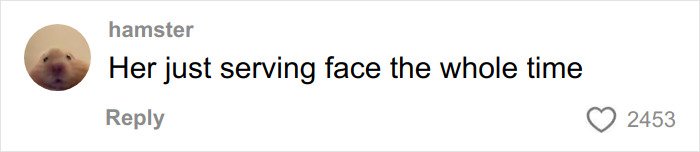 Comment reading Her just serving face the whole time, with a hamster profile picture and 2453 likes, related to Disneyland Evil Queen firing.