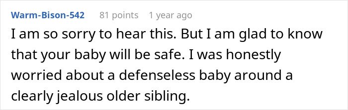 Screenshot of a comment expressing concern about a baby’s safety due to jealousy from an older sibling.