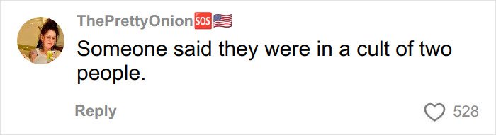 Comment on a social media post about a cult of two people, with user avatar and 528 likes visible.