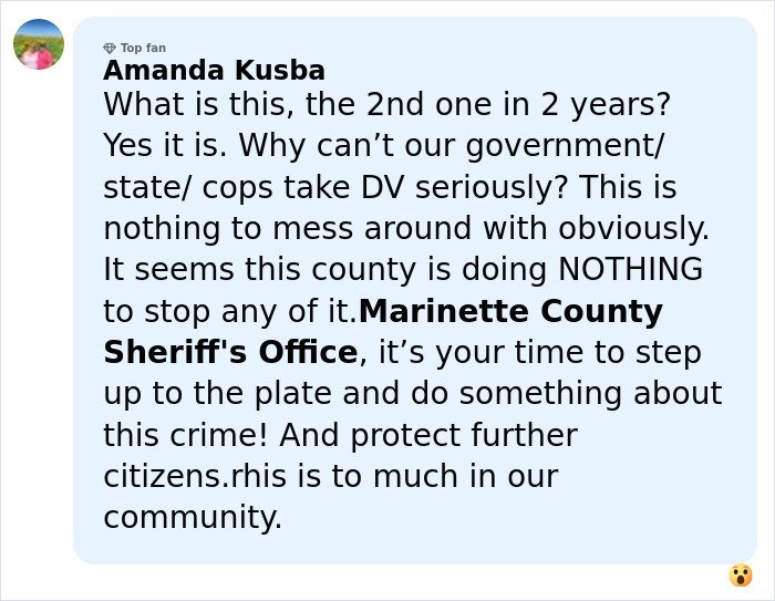 Comment from Amanda Kusba expressing frustration with government and law enforcement inaction on domestic violence cases.