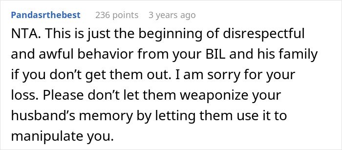 Reddit comment discussing disrespectful behavior from late husband’s brother and family after woman's loss.