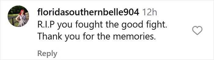 Comment from floridasouthernbelle904 expressing condolences and gratitude following James Van Der Beek’s tragic passing.