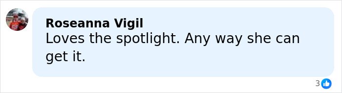 Comment by Roseanna Vigil expressing admiration for someone seeking the spotlight, shown on a social media post.