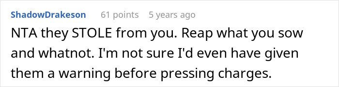 Comment from user ShadowDrakeson discussing stolen items in a case involving cheating ex-wife's boyfriend and expensive Lego sets.