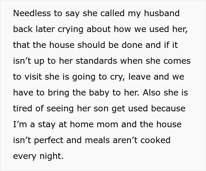 Text excerpt describing new parents dealing with in-laws threatening CPS over home standards and parenting choices.