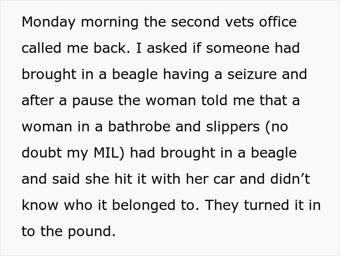 Text excerpt describing a MIL pretending dog passed away and the family discovering him at the shelter.