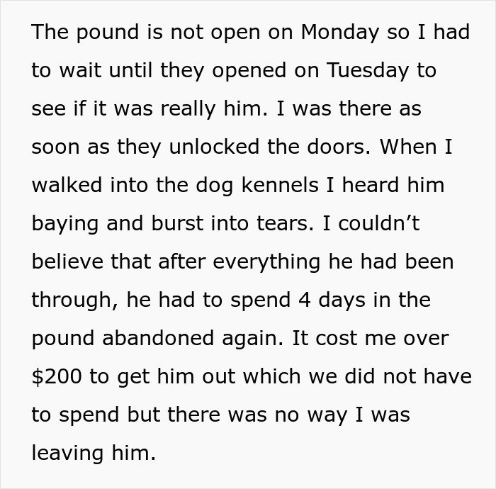 Alt text: Emotional story of a dog abandoned at the shelter after MIL pretended he passed away to get rid of him