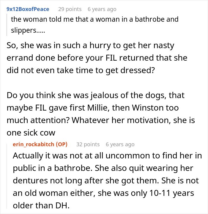 Reddit conversation discussing MIL pretending dog passed away to get rid of him and family finding dog at shelter.
