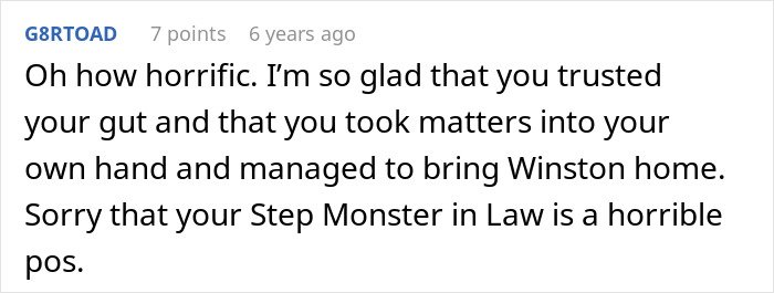 Comment expressing relief after discovering dog was alive despite MIL pretending he passed away to get rid of him.