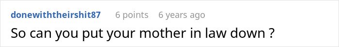 Screenshot of an online comment questioning if someone can put their mother-in-law down in a discussion about MIL and dog shelter.