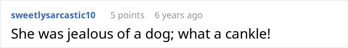 Screenshot of an online comment about a MIL pretending a dog passed away to get rid of him, found at the shelter.