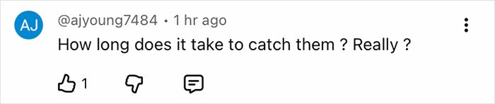 Comment by user ajyoung7484 questioning how long it takes to catch Nancy Guthrie&rsquo;s kidnapper after pivotal moment.