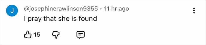 Comment by user @josephinerawlinson9355 expressing hope that Nancy Guthrie is found, relating to kidnapper discussion.
