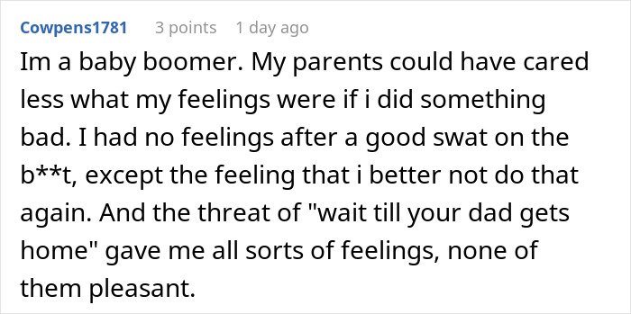 Alt text: Comment discussing no consequences parenting and its impact on sibling and brother relationship issues.