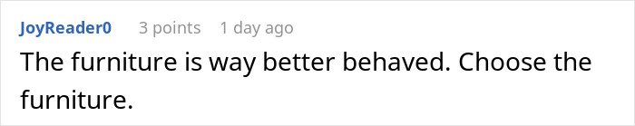 Comment text from JoyReader0 discussing behavior improvements using furniture, related to sibling kicking out brother and kids after no consequences parenting issues.