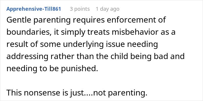 Comment discussing consequences of no consequences parenting and its impact on sibling and brother relationship.