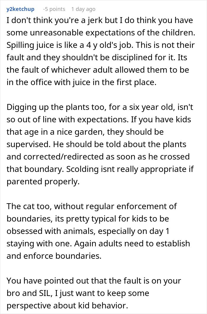 Screenshot of a forum comment discussing no consequences parenting and sibling conflicts involving kids and boundary setting.