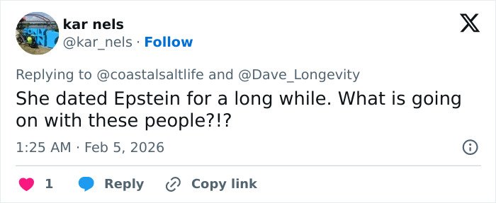 Screenshot of a social media reply discussing Epstein and concerns about his obsession with his ex-girlfriend's daughter.