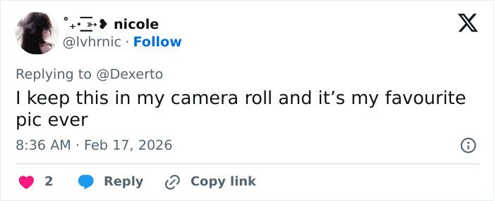 Twitter reply from user nicole expressing that a video of a baby monkey with a stuffed toy is a favorite pic ever.