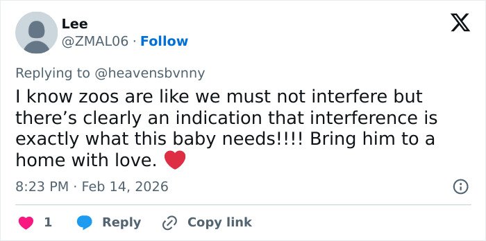 Tweet expressing concern for a baby monkey abandoned by his mom, emphasizing need for love and care to go viral.