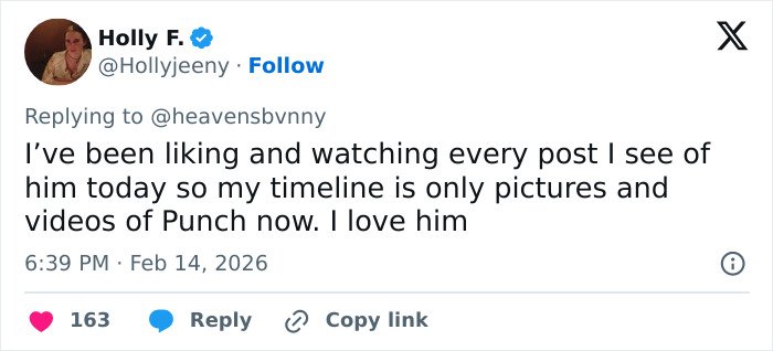 Tweet showing a user expressing love for Punch, the baby monkey with stuffed toy, in a viral heartbreaking video.