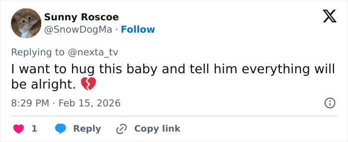 Tweet from user expressing sympathy for baby monkey abandoned by mom, sharing a heartfelt message with a broken heart emoji.
