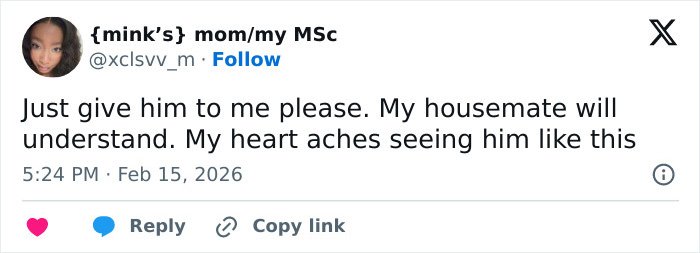 Tweet expressing emotional pain over a baby monkey with stuffed toy after being abandoned by his mom.