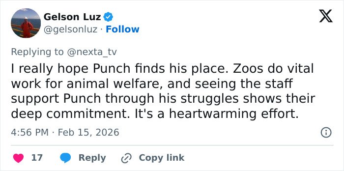 Tweet about baby monkey with stuffed toy showing emotional support after being abandoned by his mom.