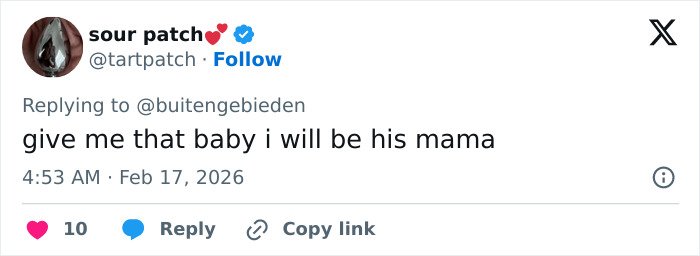 Tweet from user sour patch expressing willingness to care for a baby monkey abandoned by his mom with stuffed toy.