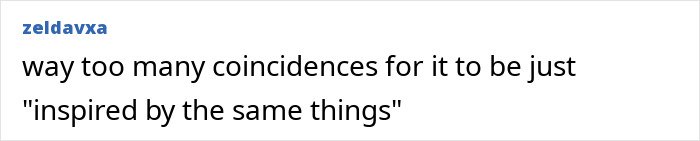 Comment about too many coincidences suggesting complete rip of the concept in the indie musician's video dispute with Taylor Swift's Opalite.
