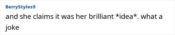 Screenshot of online comment from user BerryStyles9 disputing claims about video idea copying in the indie musician dispute
