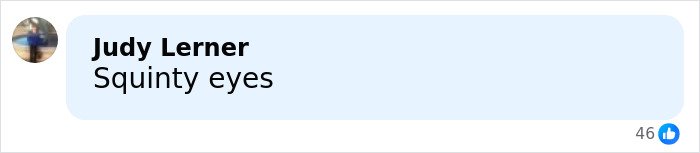 Screenshot of a social media comment by Judy Lerner saying Squinty eyes, related to Melania Trump poll discussion.