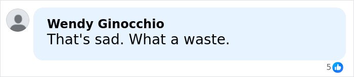Facebook comment from Wendy Ginocchio expressing sadness about Tommy Lee Jones’ daughter’s cause of passing at a ritzy hotel.