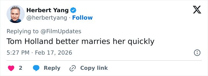 Screenshot of a Twitter reply mentioning Tom Holland, related to Zendaya and Robert Pattinson gender-bending photoshoot frenzy.