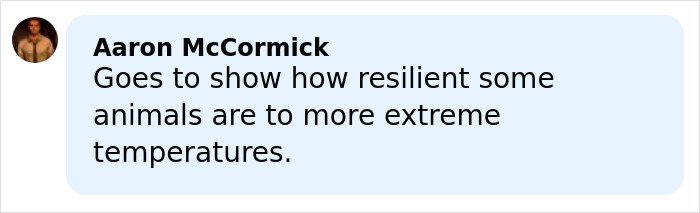 Comment by Aaron McCormick highlighting animal resilience to extreme temperatures in a light blue text box.