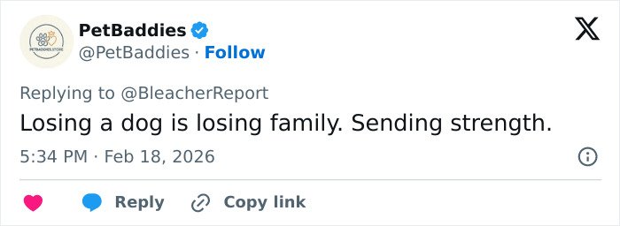 Tweet from PetBaddies offering support and strength following Lindsey Vonn’s broken leg and fifth surgery update.