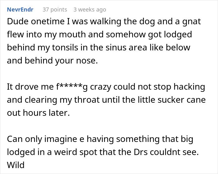 Comment discussing a man’s experience with throat pain caused by a lodged gnat in his sinus area affecting his throat.