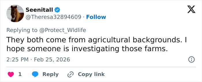 Screenshot of a Twitter reply discussing agricultural backgrounds in relation to students involved in blowing up sheep with fireworks.