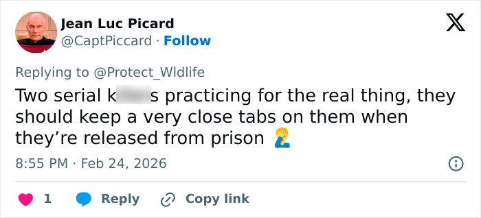 Tweet discussing the fate of two students involved in blowing up sheep with fireworks after a violent attack.