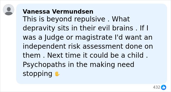 Comment criticizing the violent attack where two students blew up sheep with fireworks, calling for justice and risk assessment.