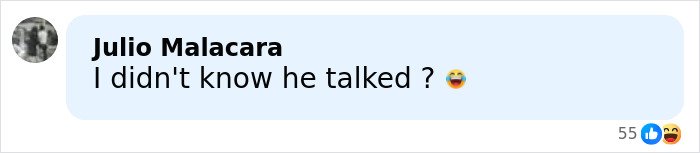 Screenshot of a social media comment reacting to a lip reader's claim about rude words Barron told Ivanka.