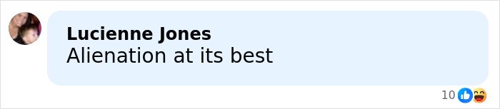 Comment from Lucienne Jones reading Alienation at its best on social media post about Brad Pitt's kid sending brutal message about their relationship in mom's movie