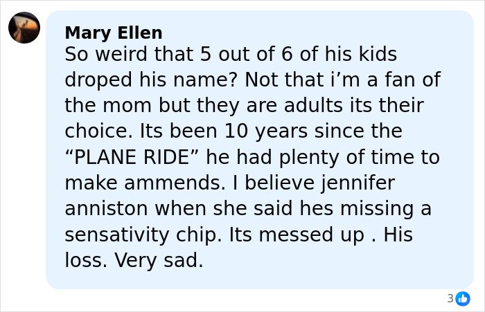 User comment discussing Brad Pitt's kids and their relationship in context of mom’s new movie.