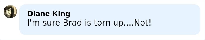 Comment by Diane King saying Brad is not torn up, related to Brad Pitt's kids sending brutal message about their relationship.