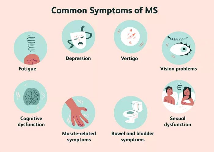 Illustration showing common symptoms of MS including fatigue, depression, vertigo, vision problems, cognitive dysfunction, muscle and bowel symptoms.