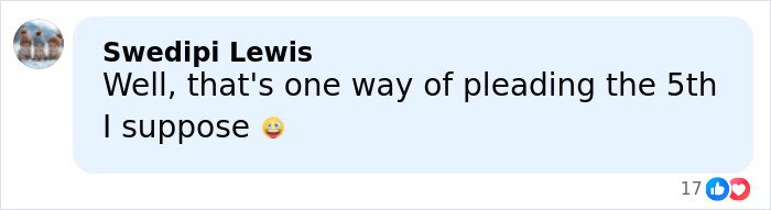 Comment by Swedipi Lewis saying well that's one way of pleading the 5th I suppose with a smiling emoji and 17 reactions.