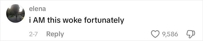 Comment from user Elena saying 