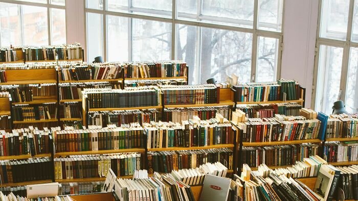 Library shelves filled with books in natural light, illustrating reworded book titles and challenging phrasing concepts.