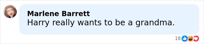 A social media comment mocking Harry Styles' outfit during his on-stage appearance at the 2026 Grammys event.