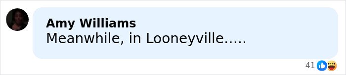 Social media comment reacting to Kid Rock’s alternative Super Bowl show by Turning Point USA with mixed emojis.